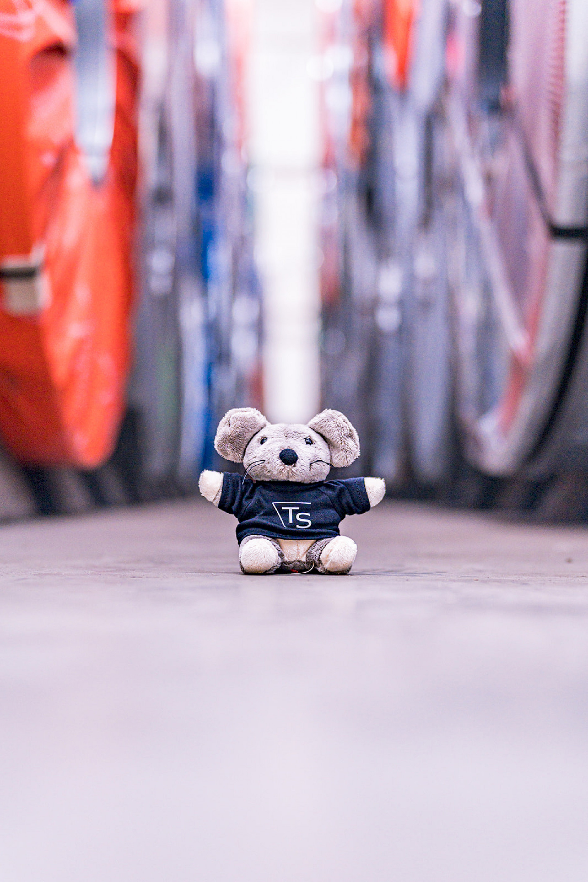 Welcome to the TS Steel Trade BLOG